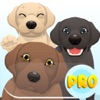 Labrador Emoji Pro
