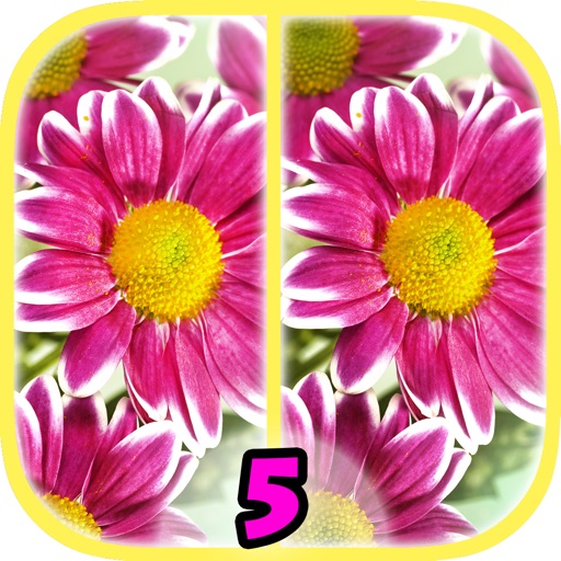 Find Differences 5 Icon