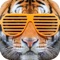 Welcome to the new After School app