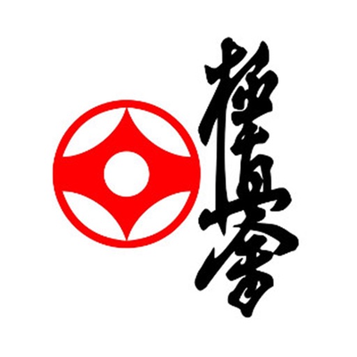 International Karate icon