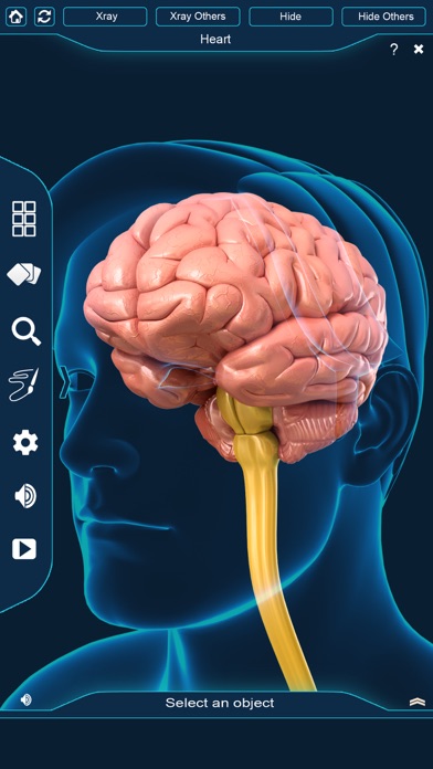 My Brain Anatomy screenshot 2