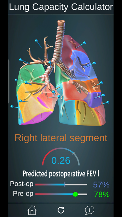 Surgical Anatomy of the Lung screenshot 2