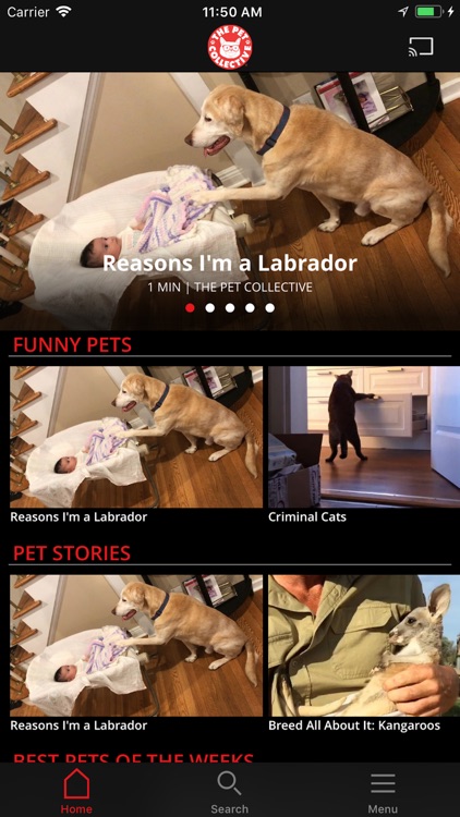 The Pet Collective