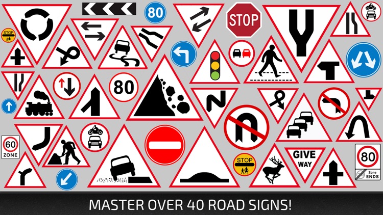 Driving Academy UK screenshot-4