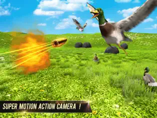 Bildschirmfoto 4 Pato Caza Animal Disparo iphone