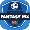 En Liga MX Fantasy tendrás que armar tu equipo con un presupuesto inicial e ir administrando para eligir a los mejores jugadores de la liga MX