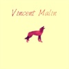 Vincent Malin