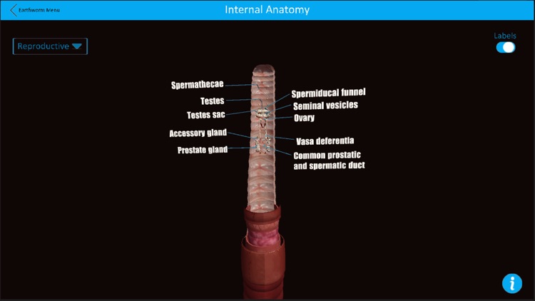 Dissection Lab screenshot-3