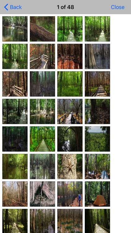 Congaree National Park - Great screenshot-4