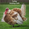 Turkey Hunting Calls!!