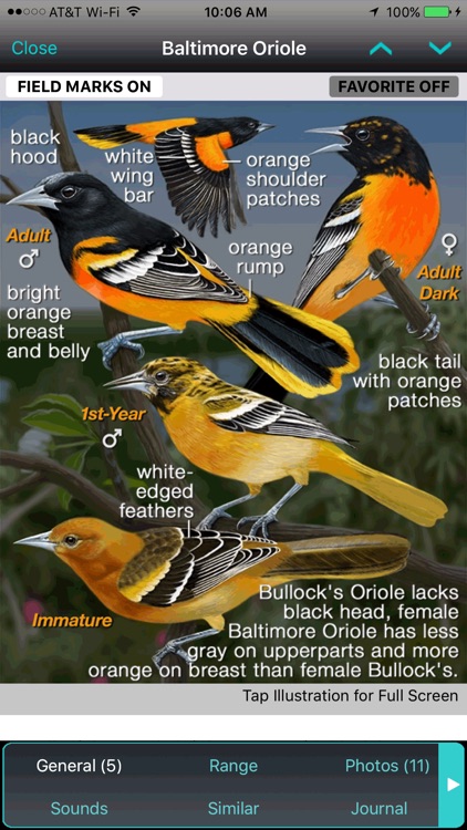 iBird Pro Guide to Birds screenshot-4