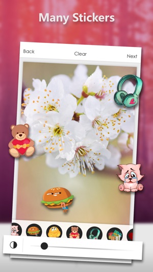 DSLR Camera - Blur Photos Make(圖5)-速報App