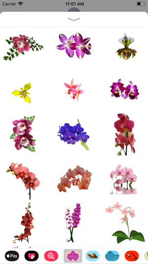 Orchid Stickers(圖2)-速報App