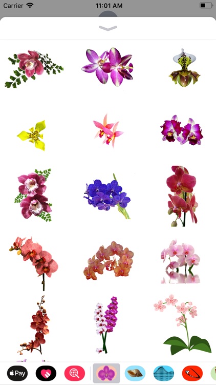 Orchid Stickers