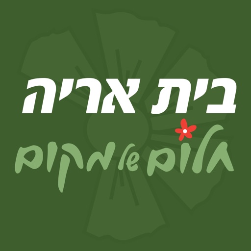 נט-אריה