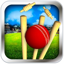 Cricket Run Out 3D