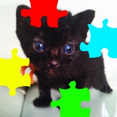 Activities of Cat's Jigsaw Puzzles