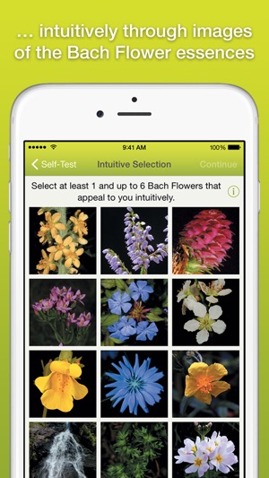 Bachblüten Selbsttest(圖2)-速報App