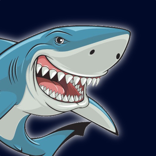 Data Shark AR iOS App