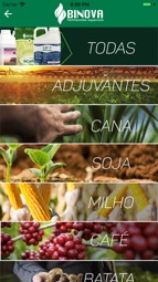 BINOVA Captura de tela 3