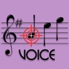 Note Hitter Voice Lite