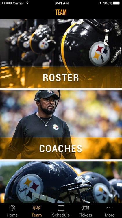 Pittsburgh Steelers