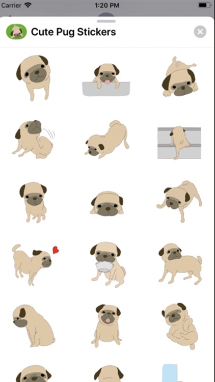 Cute Pug Stickers ！