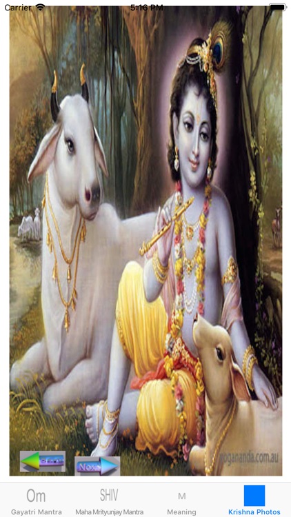Gayatri Mantra - Prayer Audio screenshot-3