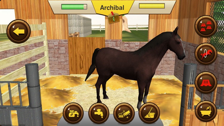 My horse hotel resorts