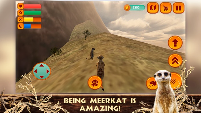 Meerkat Simulator: Animal Life(圖1)-速報App