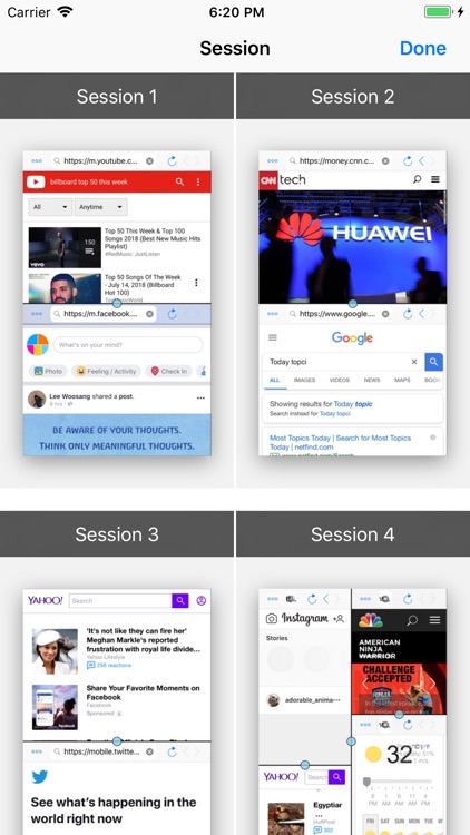 Split Screen: MultiTasking Web screenshot-4