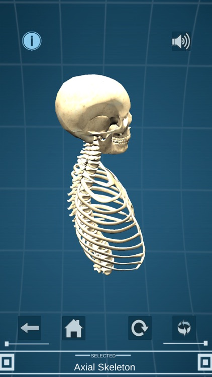 SkelePracti