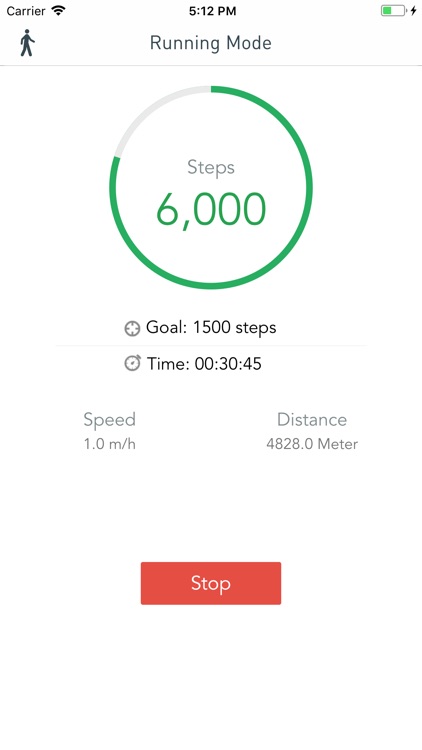 The Pedometer screenshot-5