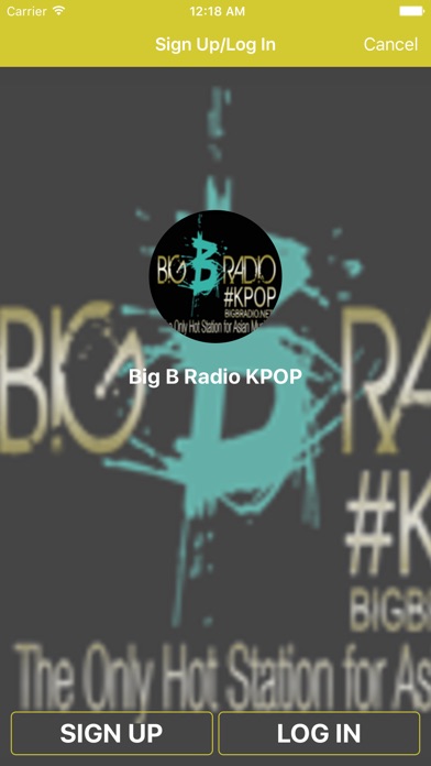 Big B Radio KPOP screenshot 2
