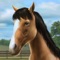Live the dream of owning and looking after a realistic horse, and share the experience with your friends