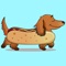 DachMoji is a dachshund emoji app that showcases our beloved breed in a range of funny and uniquely doxie related situations with adorable faces, funny poses and more