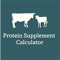 Icon Protein Supplement Calculator