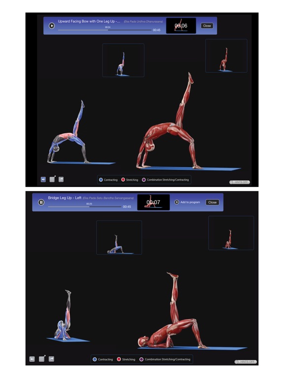iPad Screenshot 5