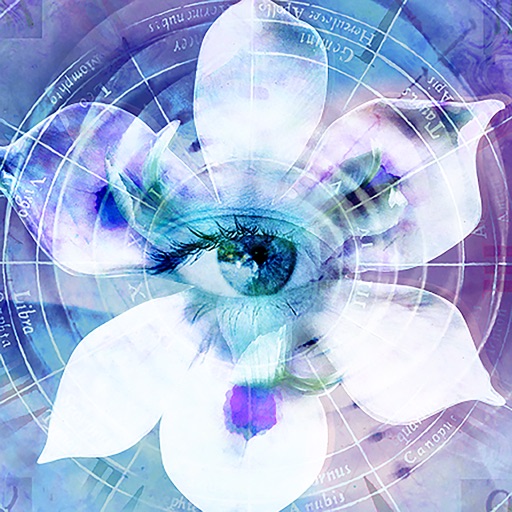 Blue Iris