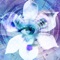 This app is a CLIENT for the Blue Iris Windows PC software