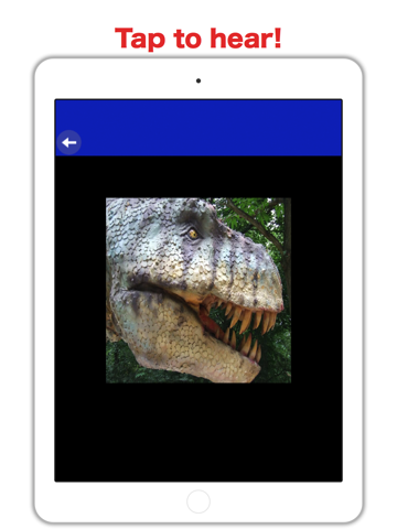 T-rex: Dino Sounds & Matching - náhled