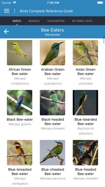 Birds Complete Reference Guide