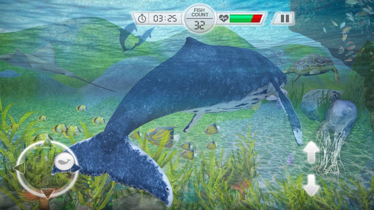 Blue Whale Survival Challenge