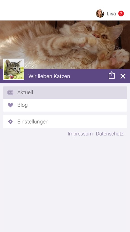 Wir lieben Katzen