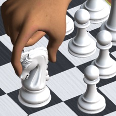 Activities of Chess Deluxe