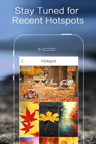 Backgrounds & Wallpapers - náhled
