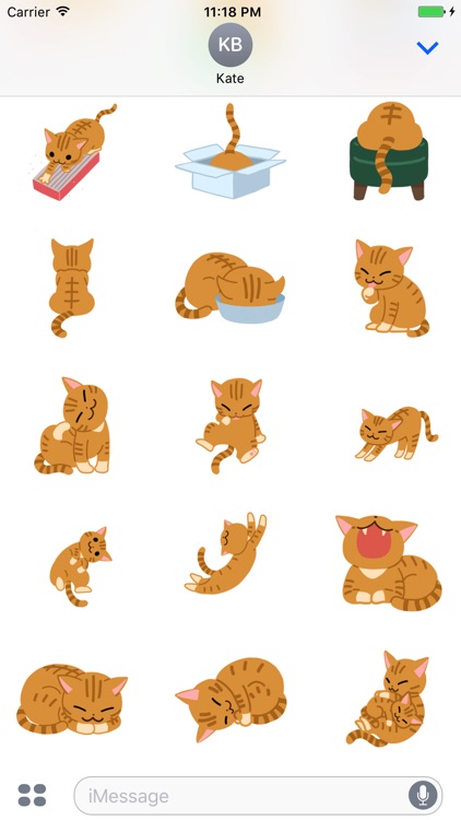 Animated Kitty Cat Stickers