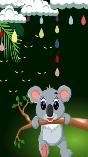 Save Koala From Rain