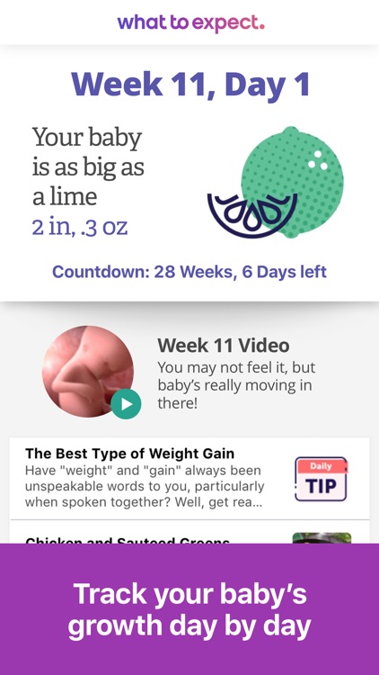Pregnancy & Baby Tracker screenshot-0