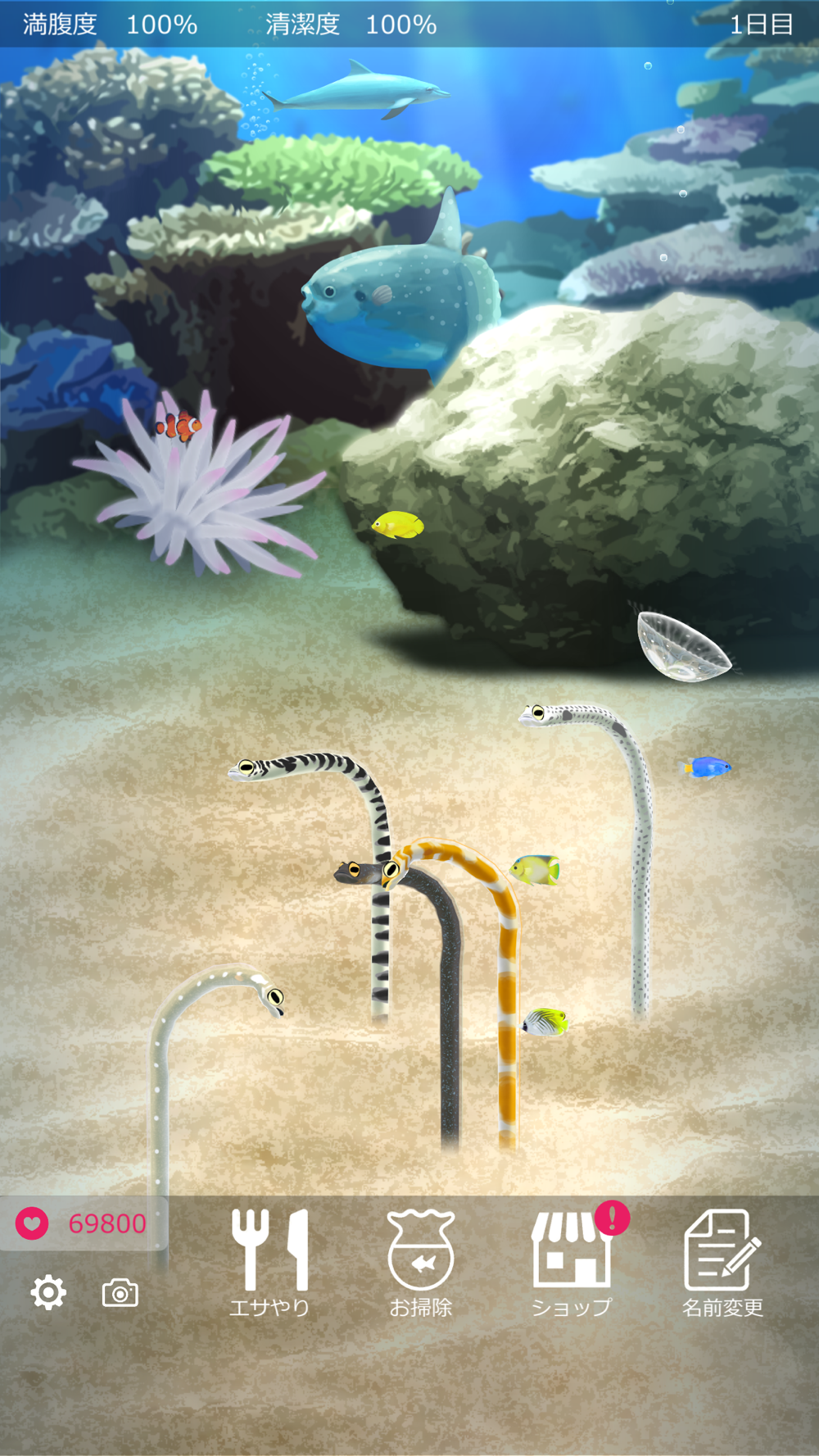 癒しのチンアナゴ育成ゲーム 癒しの育成ゲームシリーズ Free Download App For Iphone Steprimo Com